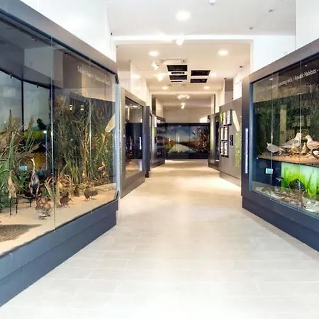 Apartmani More Komarna בית הארחה