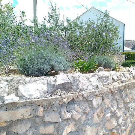 Guesthouse Lucija-Komarna 3*