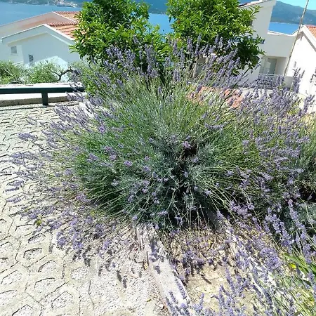 Gostinjska kuća Apartmani More Komarna